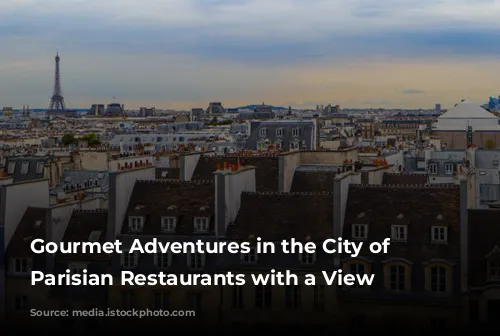 Gourmet Adventures in the City of Lights: Parisian Restaurants with a View