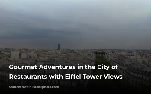 Gourmet Adventures in the City of Lights: Restaurants with Eiffel Tower Views