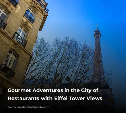 Gourmet Adventures in the City of Lights: Restaurants with Eiffel Tower Views