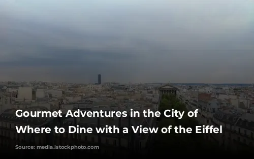 Gourmet Adventures in the City of Lights: Where to Dine with a View of the Eiffel Tower