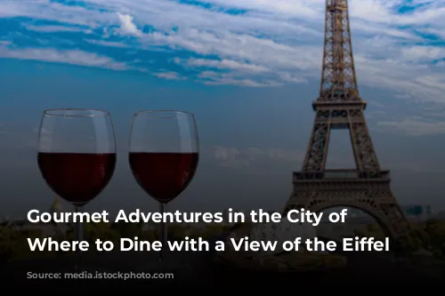 Gourmet Adventures in the City of Lights: Where to Dine with a View of the Eiffel Tower