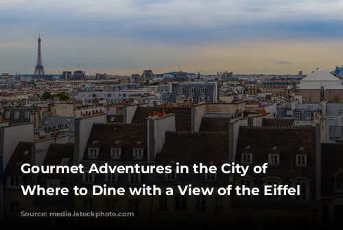 Gourmet Adventures in the City of Lights: Where to Dine with a View of the Eiffel Tower