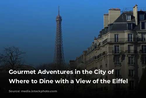 Gourmet Adventures in the City of Lights: Where to Dine with a View of the Eiffel Tower