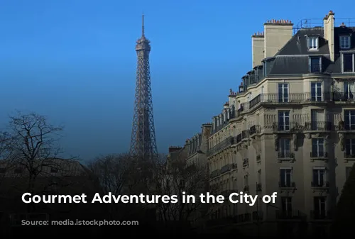 Gourmet Adventures in the City of Lights