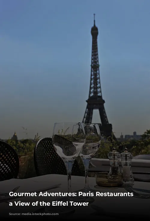 Gourmet Adventures: Paris Restaurants with a View of the Eiffel Tower