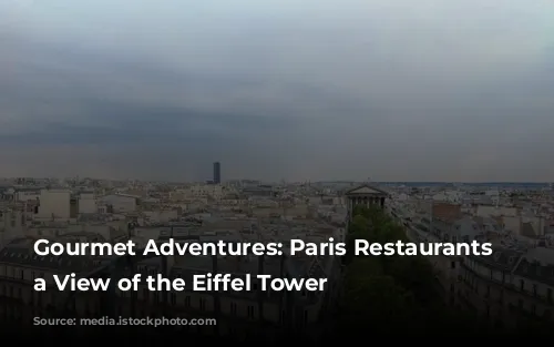 Gourmet Adventures: Paris Restaurants with a View of the Eiffel Tower