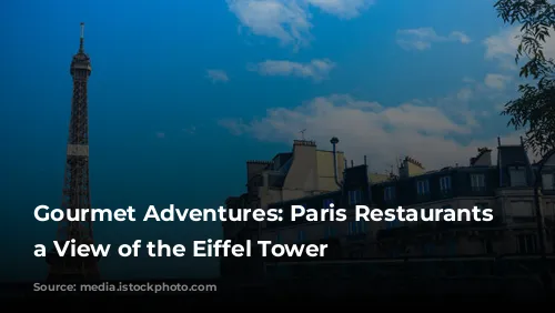 Gourmet Adventures: Paris Restaurants with a View of the Eiffel Tower