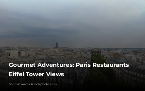 Gourmet Adventures: Paris Restaurants with Eiffel Tower Views