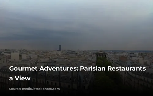 Gourmet Adventures: Parisian Restaurants with a View