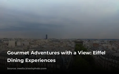 Gourmet Adventures with a View: Eiffel Tower Dining Experiences