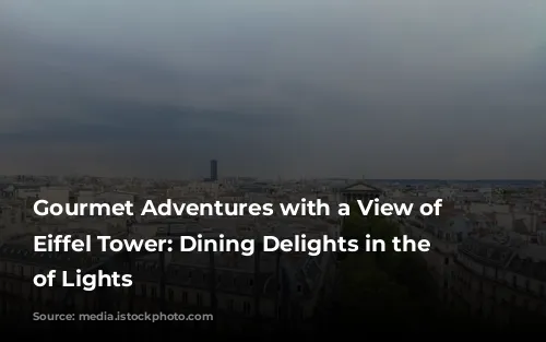 Gourmet Adventures with a View of the Eiffel Tower: Dining Delights in the City of Lights