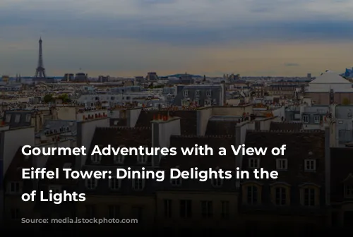 Gourmet Adventures with a View of the Eiffel Tower: Dining Delights in the City of Lights