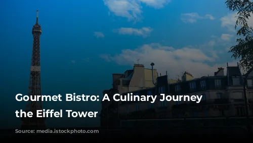 Gourmet Bistro: A Culinary Journey Near the Eiffel Tower