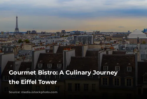 Gourmet Bistro: A Culinary Journey Near the Eiffel Tower