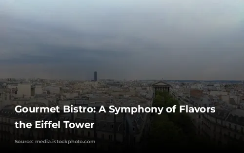 Gourmet Bistro: A Symphony of Flavors Near the Eiffel Tower