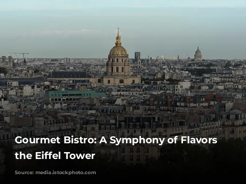 Gourmet Bistro: A Symphony of Flavors Near the Eiffel Tower