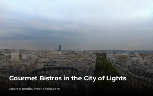 Gourmet Bistros in the City of Lights