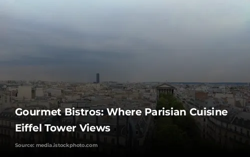 Gourmet Bistros: Where Parisian Cuisine Meets Eiffel Tower Views