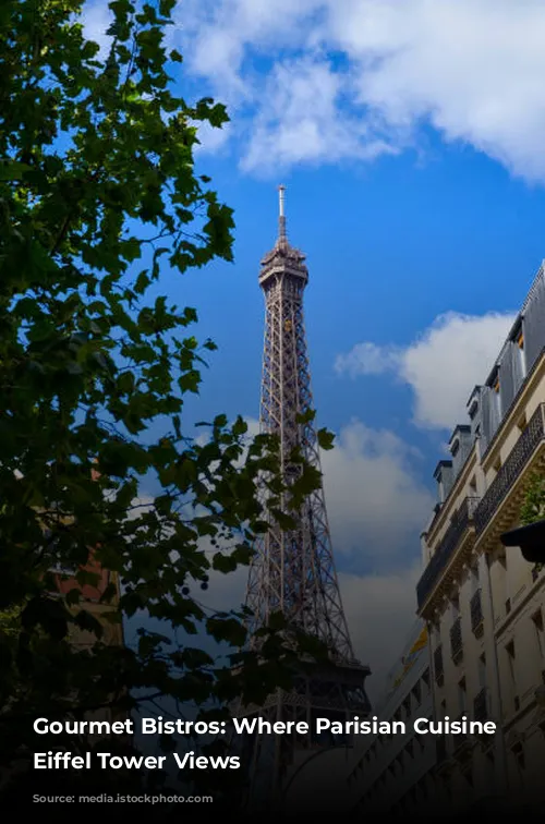 Gourmet Bistros: Where Parisian Cuisine Meets Eiffel Tower Views