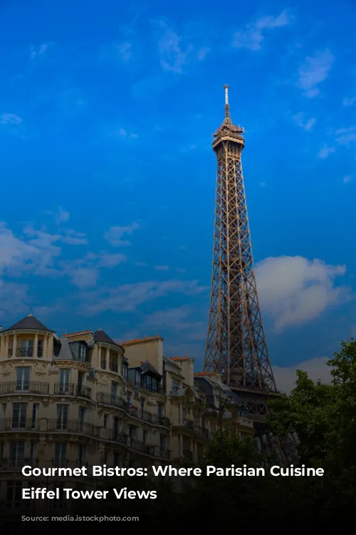 Gourmet Bistros: Where Parisian Cuisine Meets Eiffel Tower Views