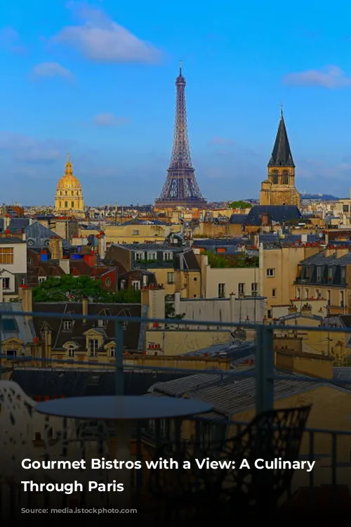 Gourmet Bistros with a View: A Culinary Journey Through Paris