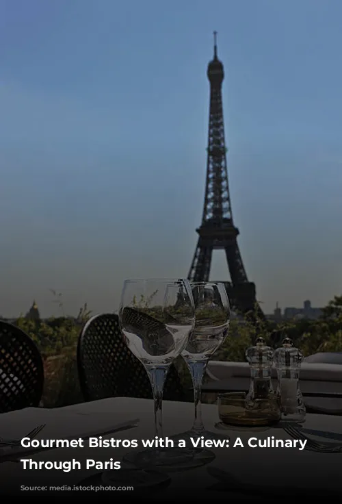 Gourmet Bistros with a View: A Culinary Journey Through Paris