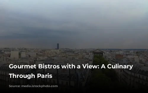 Gourmet Bistros with a View: A Culinary Journey Through Paris