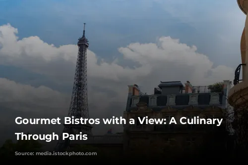 Gourmet Bistros with a View: A Culinary Journey Through Paris