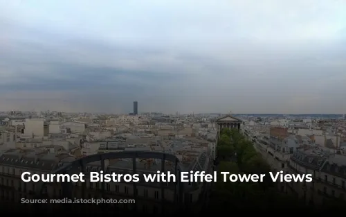 Gourmet Bistros with Eiffel Tower Views