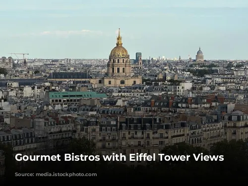 Gourmet Bistros with Eiffel Tower Views