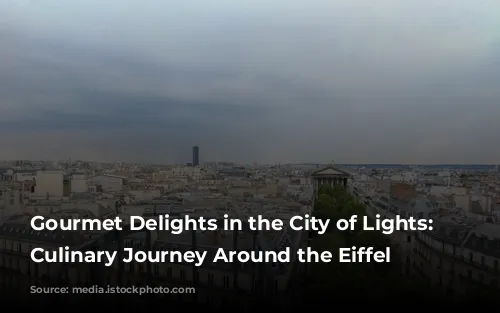 Gourmet Delights in the City of Lights: A Culinary Journey Around the Eiffel Tower