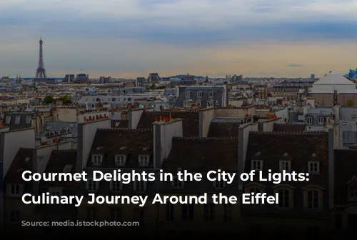 Gourmet Delights in the City of Lights: A Culinary Journey Around the Eiffel Tower