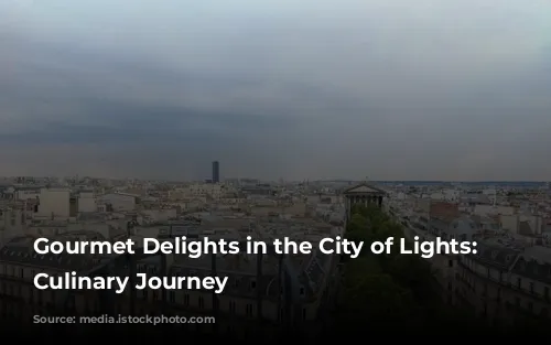 Gourmet Delights in the City of Lights: A Culinary Journey