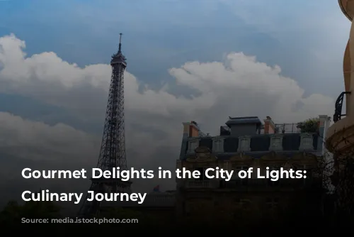 Gourmet Delights in the City of Lights: A Culinary Journey