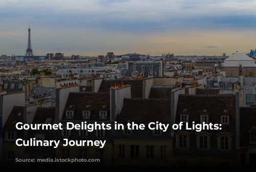 Gourmet Delights in the City of Lights: A Culinary Journey