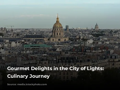 Gourmet Delights in the City of Lights: A Culinary Journey