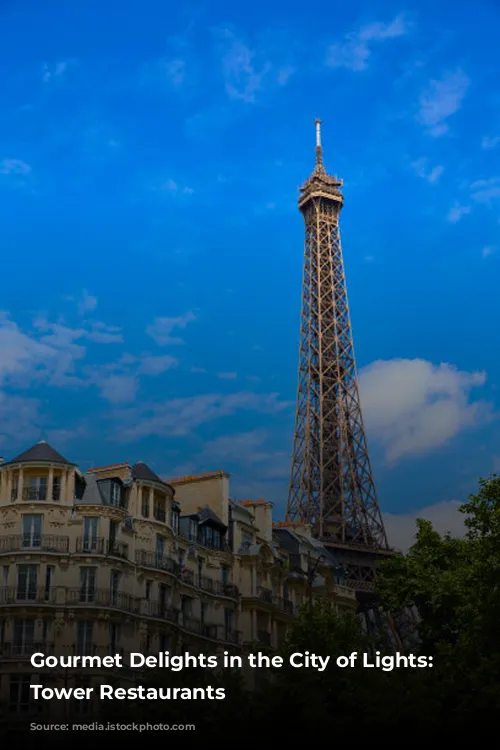 Gourmet Delights in the City of Lights: Eiffel Tower Restaurants