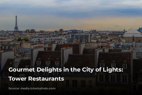 Gourmet Delights in the City of Lights: Eiffel Tower Restaurants