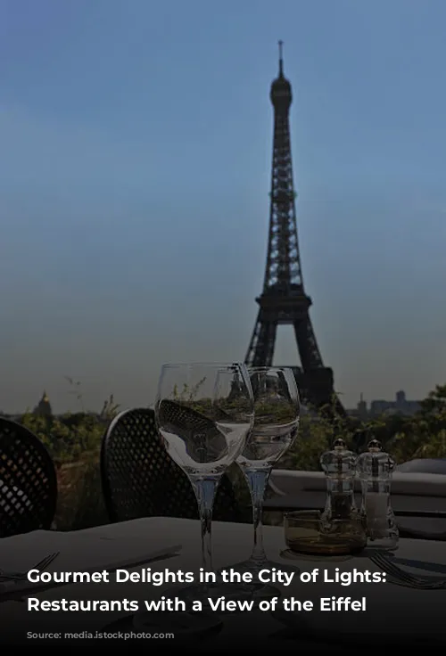 Gourmet Delights in the City of Lights: Parisian Restaurants with a View of the Eiffel Tower