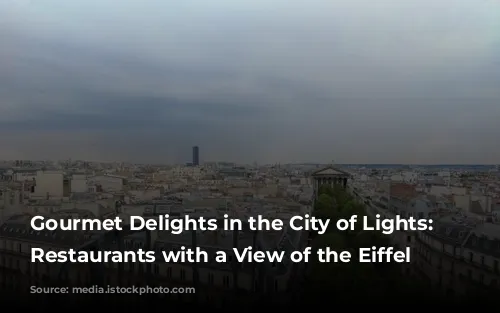 Gourmet Delights in the City of Lights: Parisian Restaurants with a View of the Eiffel Tower