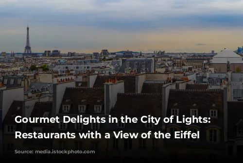 Gourmet Delights in the City of Lights: Parisian Restaurants with a View of the Eiffel Tower