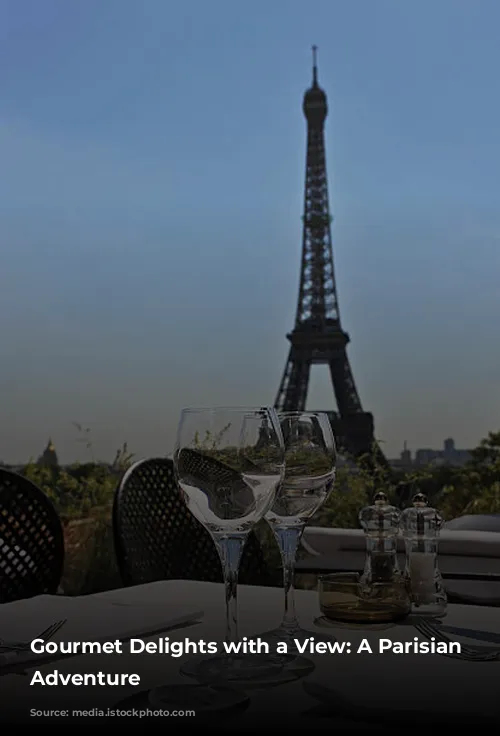 Gourmet Delights with a View: A Parisian Culinary Adventure