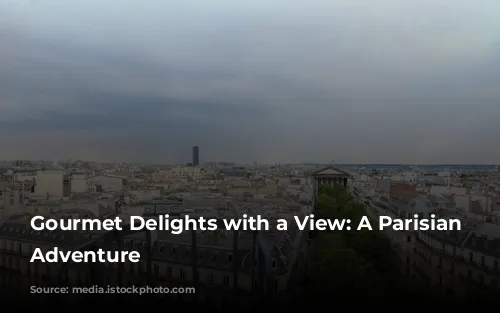 Gourmet Delights with a View: A Parisian Culinary Adventure