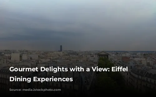 Gourmet Delights with a View: Eiffel Tower Dining Experiences