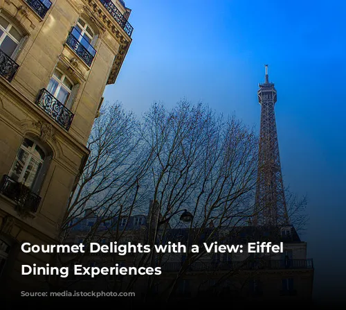 Gourmet Delights with a View:  Eiffel Tower Dining Experiences