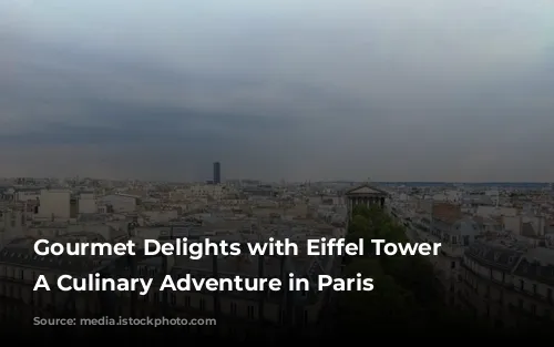 Gourmet Delights with Eiffel Tower Views: A Culinary Adventure in Paris