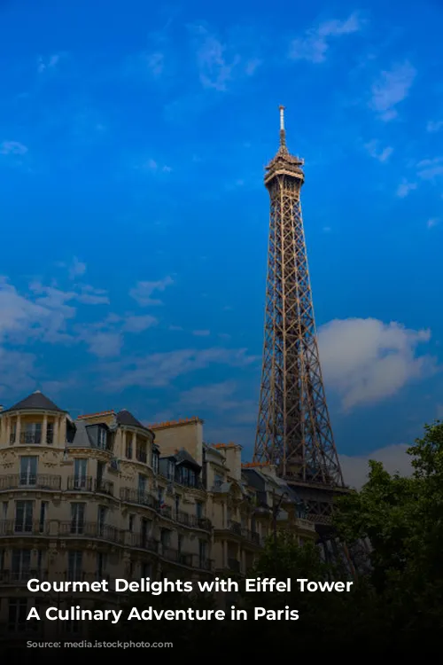 Gourmet Delights with Eiffel Tower Views: A Culinary Adventure in Paris