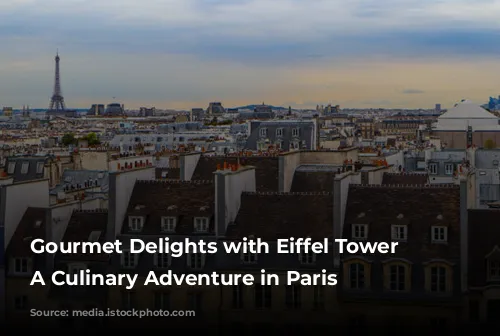 Gourmet Delights with Eiffel Tower Views: A Culinary Adventure in Paris