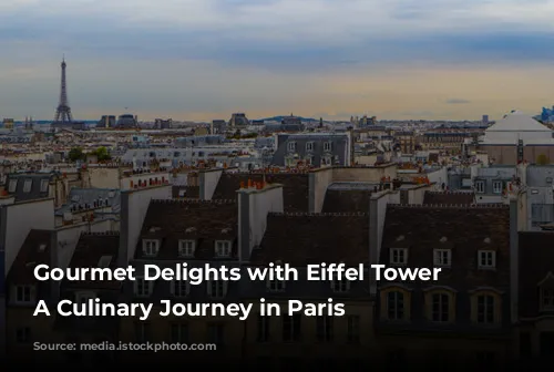 Gourmet Delights with Eiffel Tower Views: A Culinary Journey in Paris