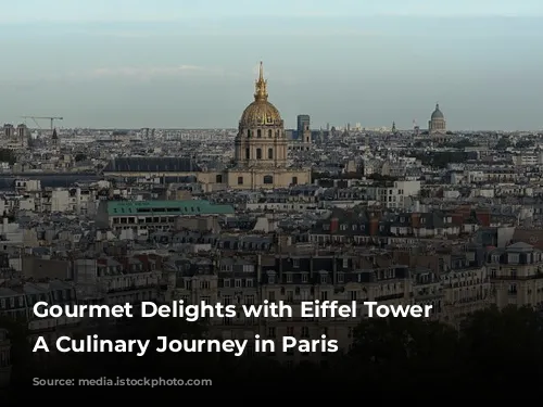 Gourmet Delights with Eiffel Tower Views: A Culinary Journey in Paris